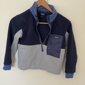 Patagonia Microdini Half Zip